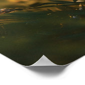 Poster Joli petit chiot à la recherche d'un papillon (Coin)