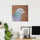 Poster Joli Pigeon (Bureau à domicile)