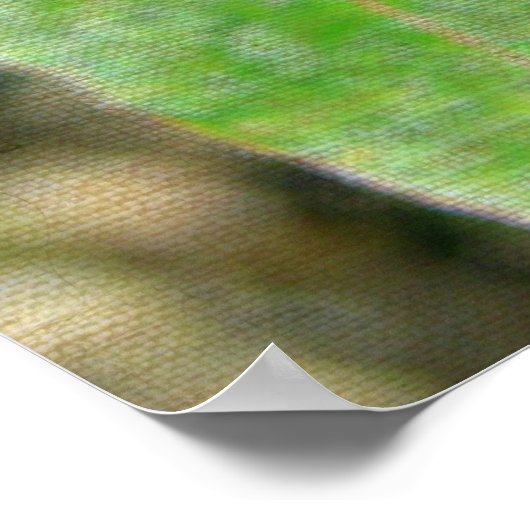 Poster Joli Plante 2 (Coin)