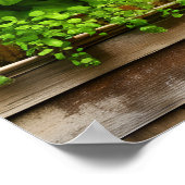 Poster Joli Plantes dans fenêtre rustique avec bois Patin (Coin)