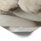 Poster Joli Portrait de Chien Husky Cute (Coin)