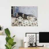Poster Joli Portrait de Chien Husky Cute (Bureau à domicile)