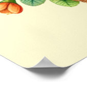 Poster Joli poussins de Pâques (Coin)