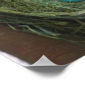 Poster Joli Robin's Eggs (Coin)