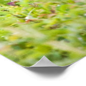 Poster Joli sourire (Coin)