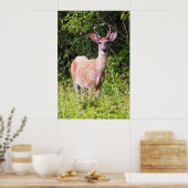 Poster Joli sourire (Cuisine)