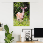 Poster Joli sourire (Bureau à domicile)