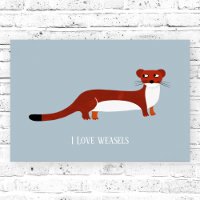 Joli Weasel