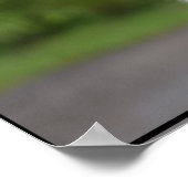 Poster Joli Wolfhound irlandais (Coin)