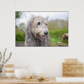 Poster Joli Wolfhound irlandais (Cuisine)