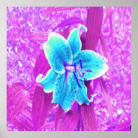 Jolie Aqua Blue Stargazer Lily sur violet