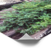 Poster Jolie cascade rivière Wabash dans l'Indiana 1981 (Coin)