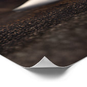 Poster Jolie chiot Beagle Halloween en Citrouille costume (Coin)