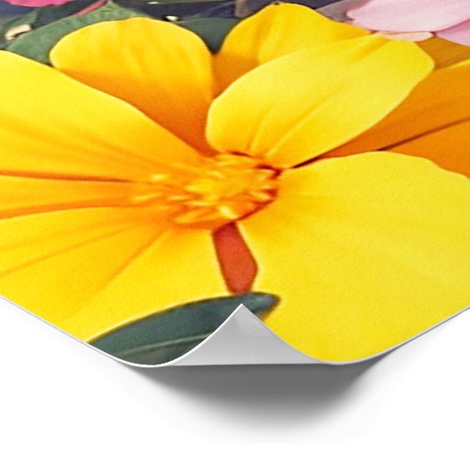 Poster Jolie conception d'illustration de papillon de rep (Coin)