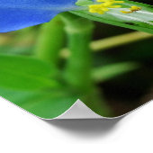 Poster Jolie coupe Carré à fleurs bleues (Coin)