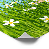 Poster Jolie Fée & Fleurs de Pâquerette (Coin)