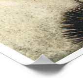 Poster Jolie Féerie Vintage (Coin)