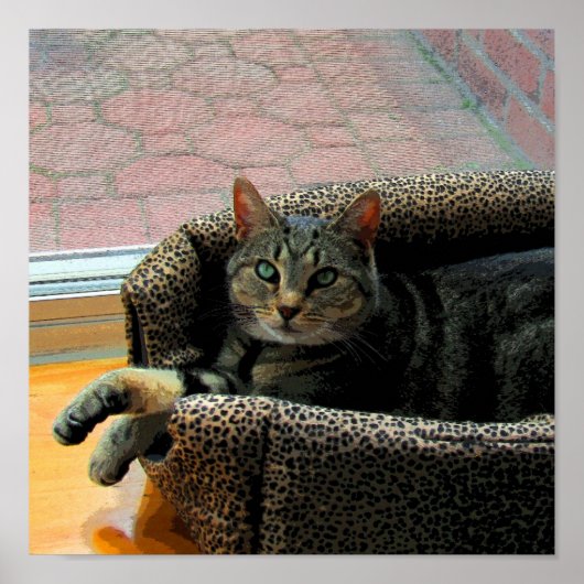 Poster Jolie fille Indigo CB (Devant)