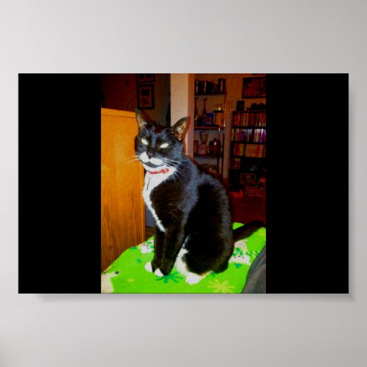 Poster Jolie fille Lucy (Devant)