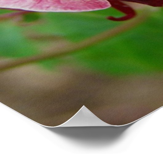 Poster Jolie Fleur (Coin)