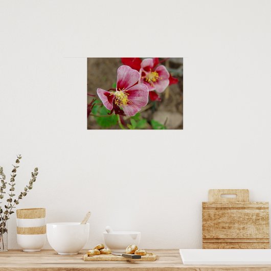 Poster Jolie Fleur (Cuisine)