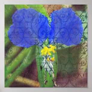 Poster Jolie Fleur Bleue
