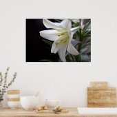 Poster Jolie fleur de lys de Pâques blanche en noir (Cuisine)