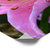 Poster Jolie Fleur de Lys Rose Fleurit Floral (Coin)