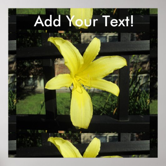 Poster Jolie Fleur Lily Jaune (Devant)
