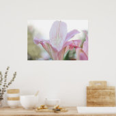 Poster Jolie Fleur Pastel Rose (Cuisine)