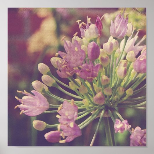 Poster Jolie fleur violette (Devant)