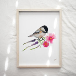 Poster Jolie Fleurs d'Oiseaux de Chickadee Imprimer