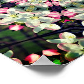 Poster Jolie floraison printanière Fleur Art Abstrait (Coin)