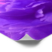 Poster Jolie framboise violette Florale (Coin)