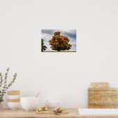 Poster Jolie Orange (Cuisine)