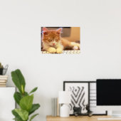 Poster Jolie Orange Kitten Falls endormi (Bureau à domicile)