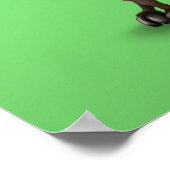 Poster Jolie orignale curieuse avec de grands yeux sur ve (Coin)