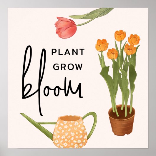 Poster Jolie Plante de script croissance fleur Tulip (Devant)