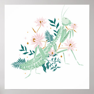 POSTER JOLIE SAUTERELLE