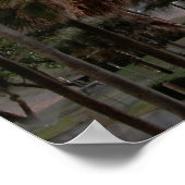 POSTER JOLIE SÉRÉNITÉ PRIÈRE PALMIER ARBRE PHOTO CONCEPTI (Coin)