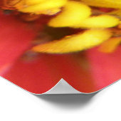 Poster Jolie teinte sur l'impression de fleurs rouges (Coin)