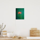 Poster Jolie Zinnia rose (Cuisine)