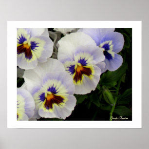 Poster Jolies domestiques toutes dans une rangée par Lind