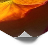 Poster Jolies fleurs (Coin)