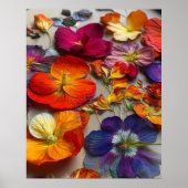 Poster Jolies fleurs (Devant)