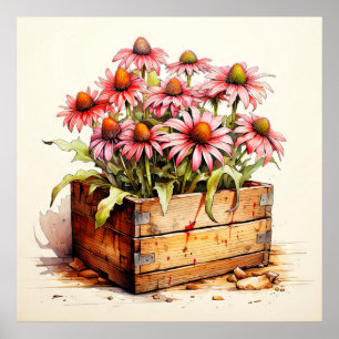 Poster Jolies fleurs d'aster plantées