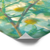 Poster Jolies marguerites (Coin)