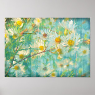 Poster Jolies marguerites