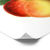 Poster Jolies pêches (Coin)