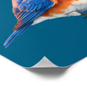 Poster Jolis Merlesbleus de l'Est Amoureux des Oiseaux (Coin)
